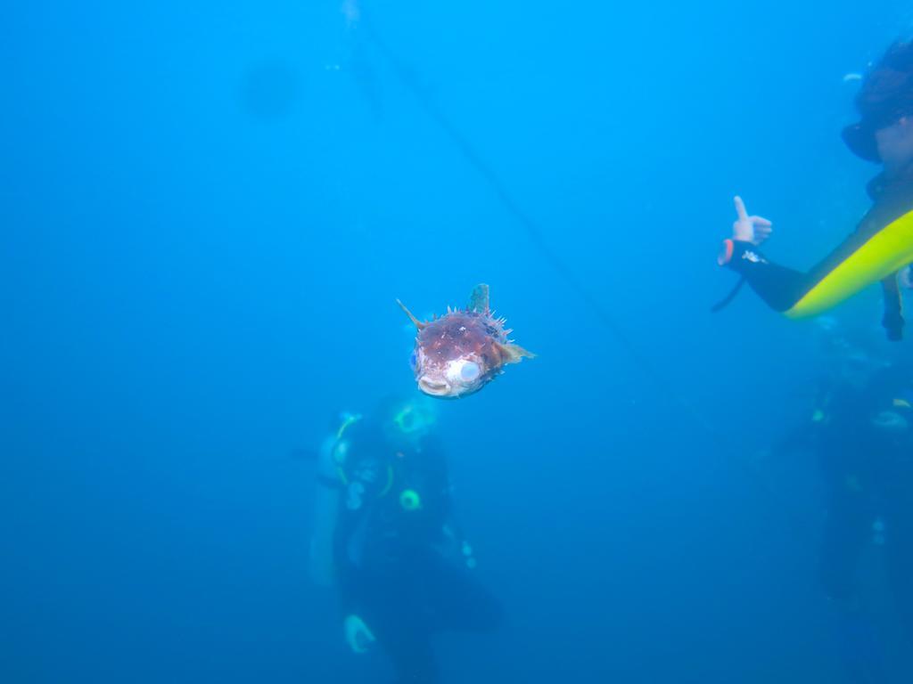 Chindonan Dive And Beach Resort Корон Экстерьер фото