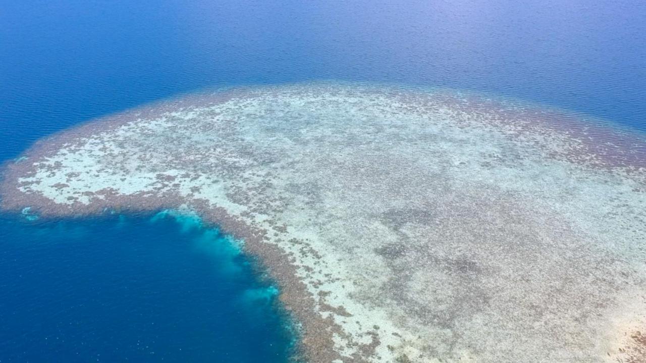Chindonan Dive And Beach Resort Корон Экстерьер фото